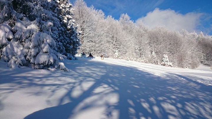 Nasza baza zimowa Piwniczna, Krynica i Tylicz :) dosypło śniegu warunki idealne :) zapraszamy osob