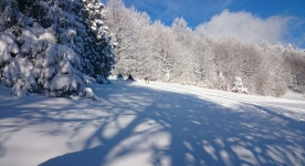 Nasza baza zimowa Piwniczna, Krynica i Tylicz :) dosypło śniegu warunki idealne :) zapraszamy osob