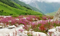 Indie, Himalaje - w drodze do Doliny Kwiatów