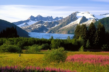 Alaska - poznaj magię dalekiej Północy