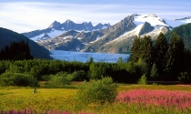 Alaska - poznaj magię dalekiej Północy