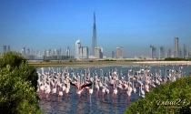 Dubaj - 4 dniowy wyjazd incentive