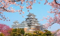 Japonia - Kraj Kwitnącej Wiśni