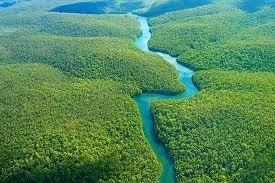 Brazylia- Ujście Amazonki
