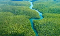 Brazylia- Ujście Amazonki