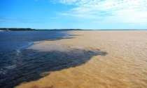 Brazylia- Zbieg wód, Manaus