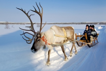 Finlandia - Lodowy Hotel, skutery śnieżne i poszukiwanie zorzy polarnej!