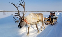 Finlandia - Lodowy Hotel, skutery śnieżne i poszukiwanie zorzy polarnej!