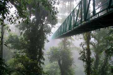 Kostaryka- Skywalk w rezerwacie Monteverde