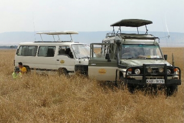 Kenia - safari