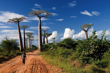 Madagaskar - poznaj Czerwoną Wyspę!