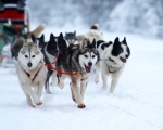 Finlandia - weekend na rakietach i skuterach śnieżnych! - Dzień 3