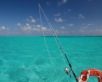 Honduras - rejs pomiędzy Wyspami Bahia - Utila Island